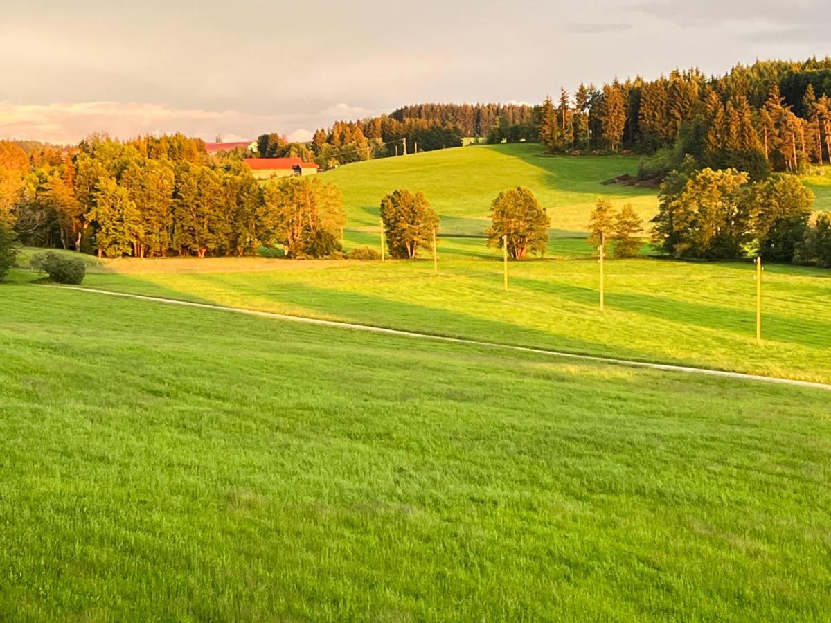 Ferienhaus Am Wald Leilighet Friesenried Eksteriør bilde